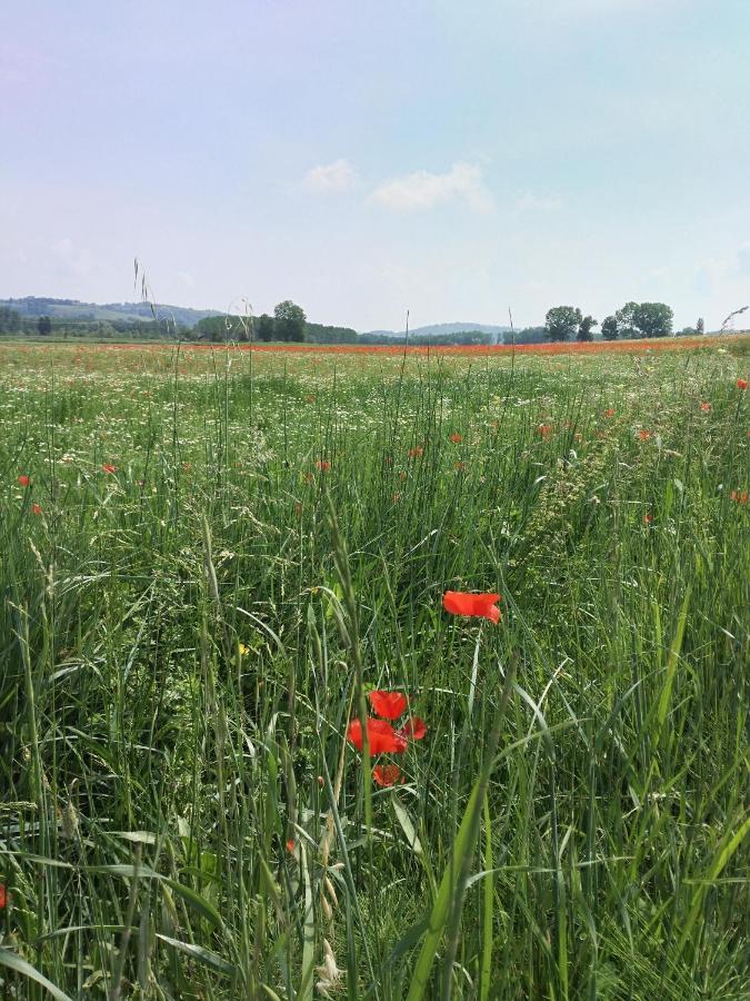 Bio Agriturismo Pratini Monte Lopio Exteriör bild